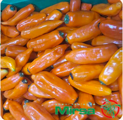 Chili pepper - Exportaciones Mirsa